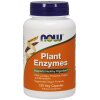 NOW Foods - Plant Enzymes - 120 vcaps