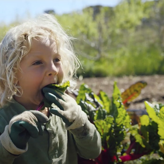 Dr. Formulated Probiotics - Probiotice formulate pentru femei, administrare zilnică unică - 30 capsule - imagine 2