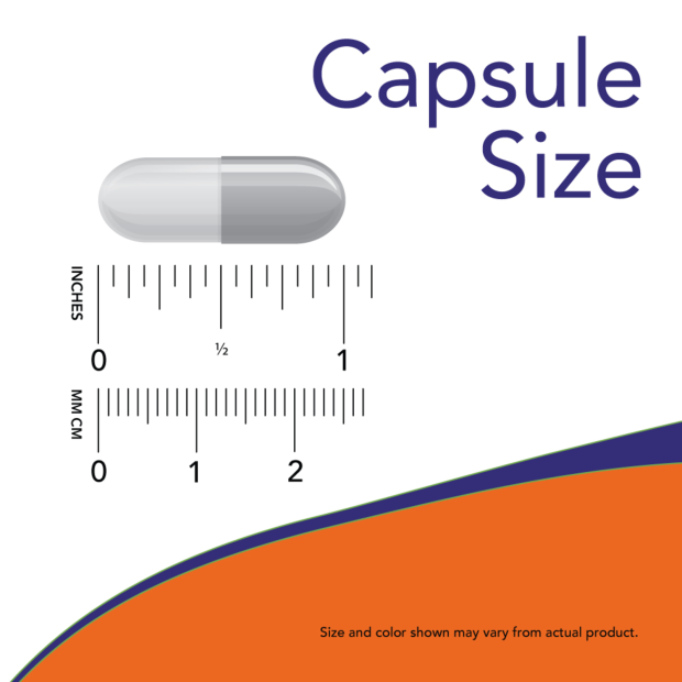 NOW Foods - Extract de Sâmburi de Struguri, 500mg Putere Maximă - 90 Capsule - imagine 4