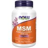 MSM 1000 mg Veg Capsules