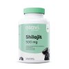 Shilajit