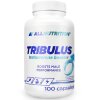 Tribulus - 100 caps (EAN 5902837755656)
