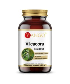 YANGO Vilcacora  (90 caps)